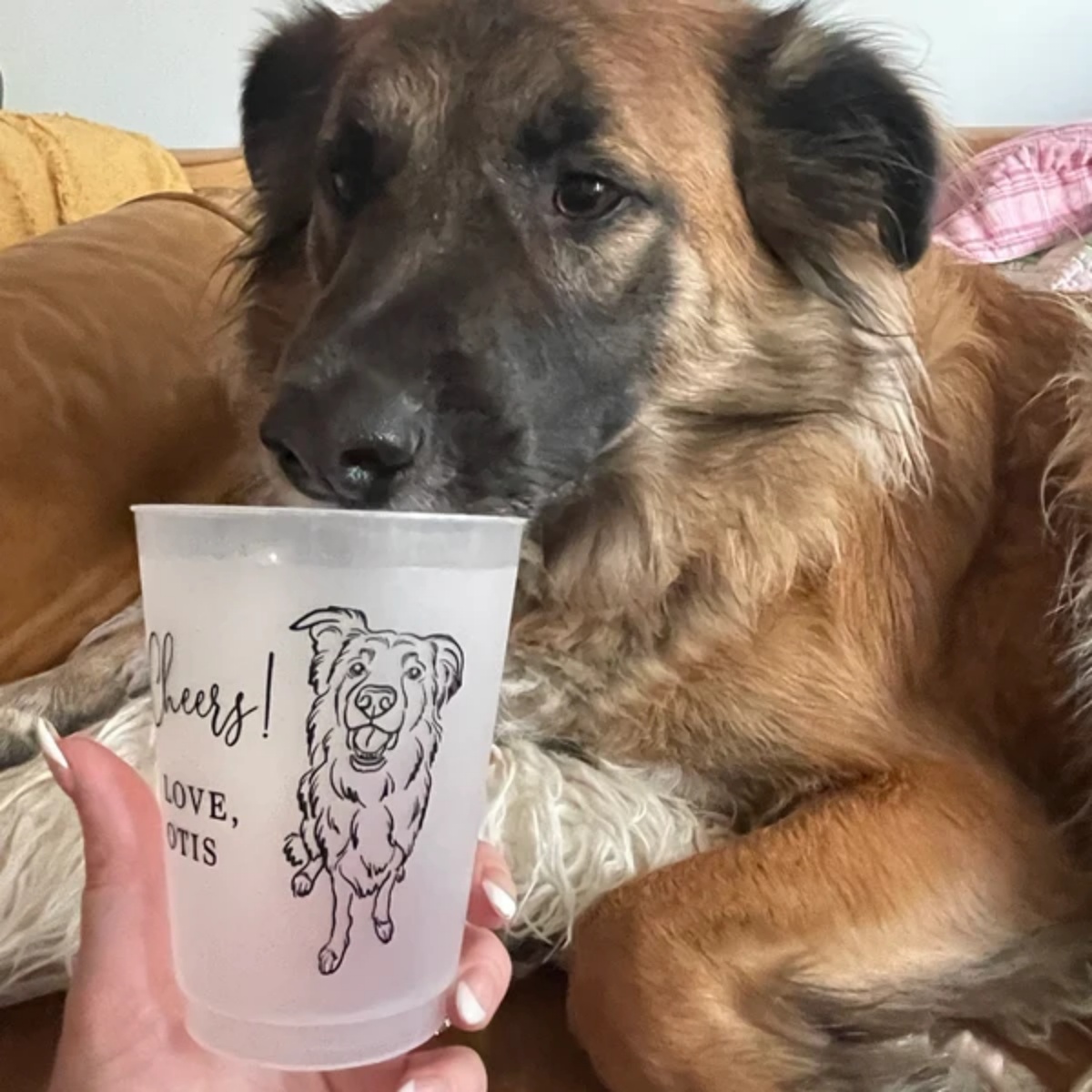10/50 Personalized Barn Weddin – обзор и цена Plastic Cup 50Pcs