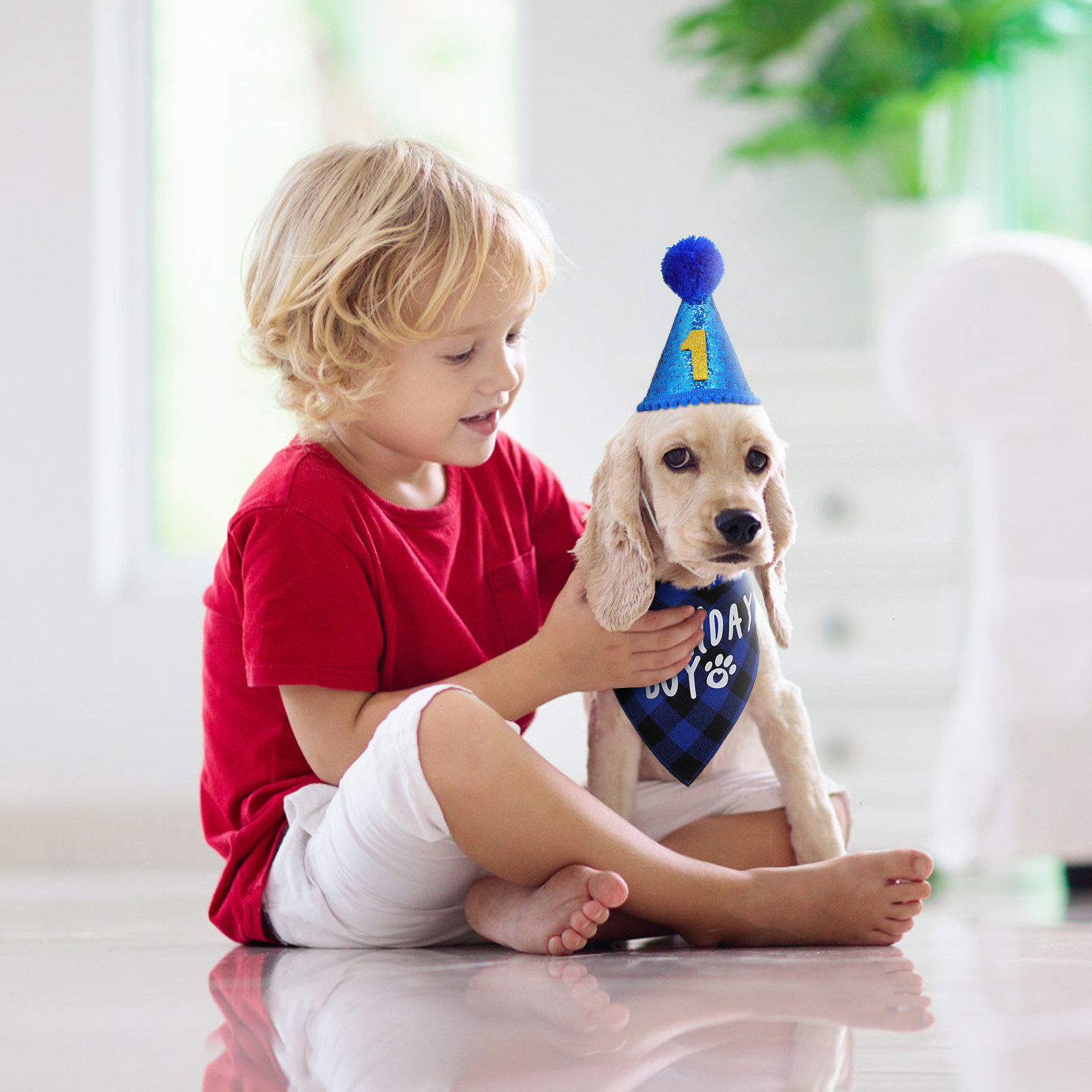 1Set Dog Birthday Bandana Set  – обзор и цена Party Hat Cone
